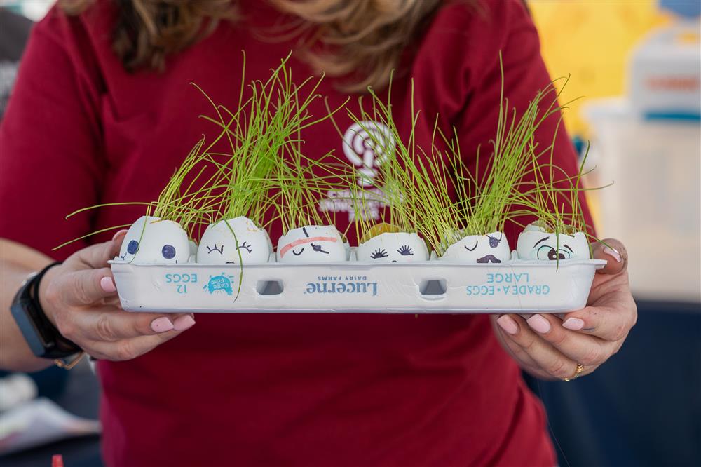 An image of planters made out of egg shells with hand-drawn faces.
